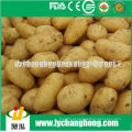 2014 Batata fresca da alta qualidade do vendedor 80-150g / 100-200g / 200g acima